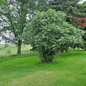 https://la-rivale.midi-pyreneeshotels.com